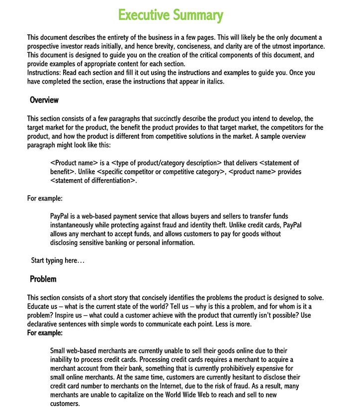 Professional Paypal Executive Summary Template as Word Document