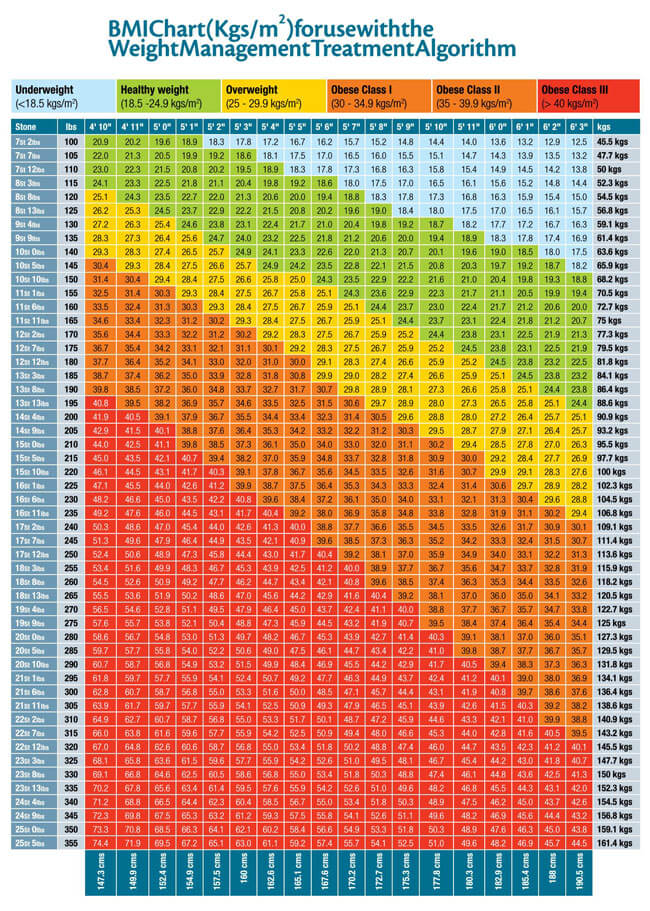 bmi weight tracker chart excel template
