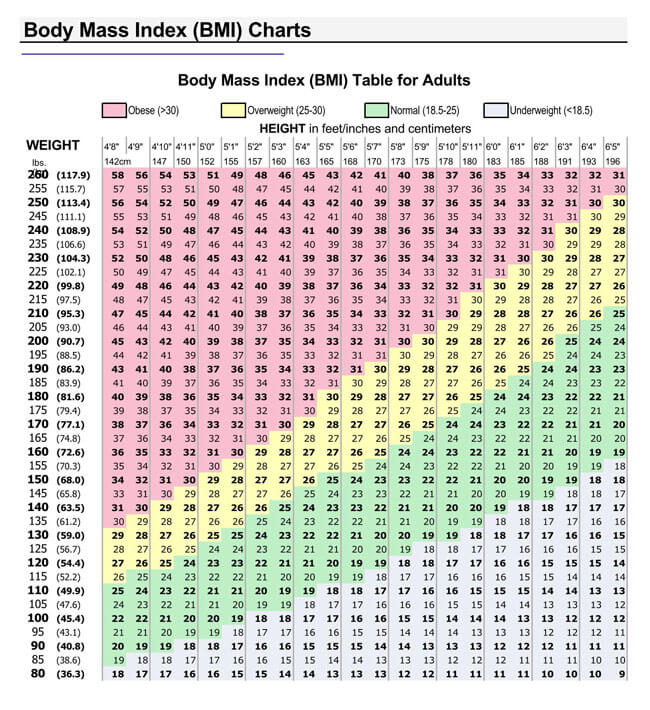 Free Printable BMI Chart and Table for Adults 01 as pdf File