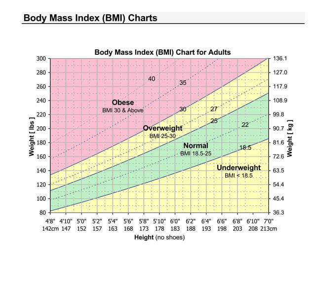 Bmi Chart Fillable Printable Pdf Forms Handypdf Images Porn Sex