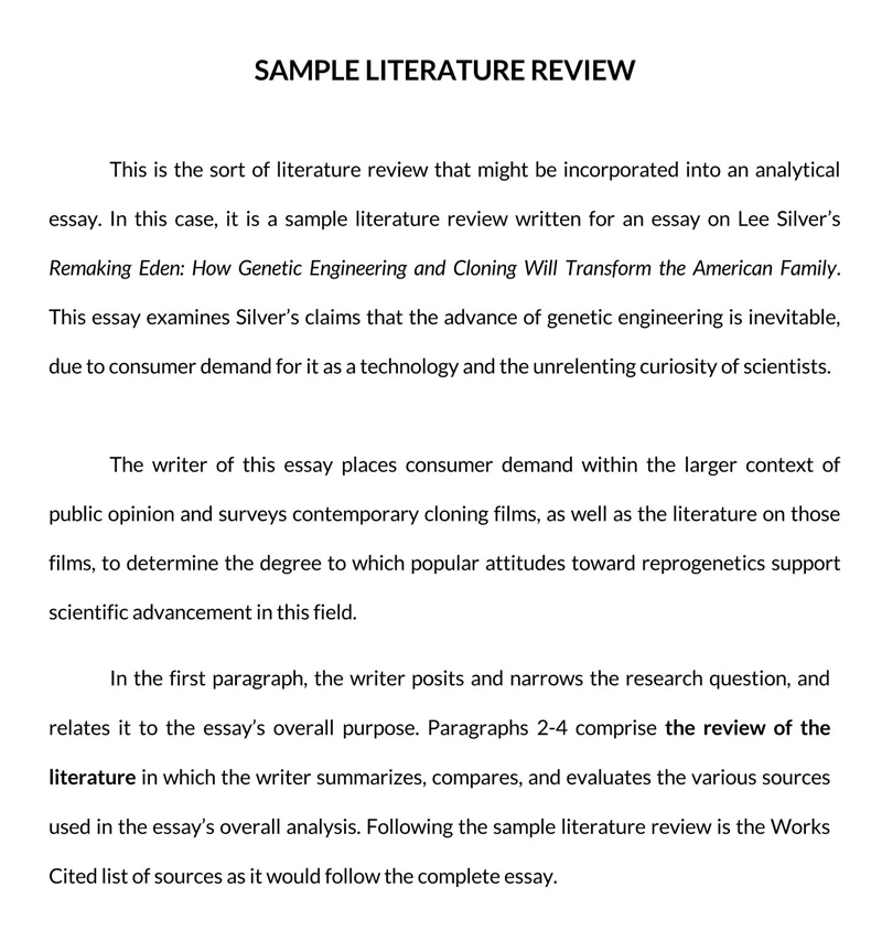 examples literature review in research