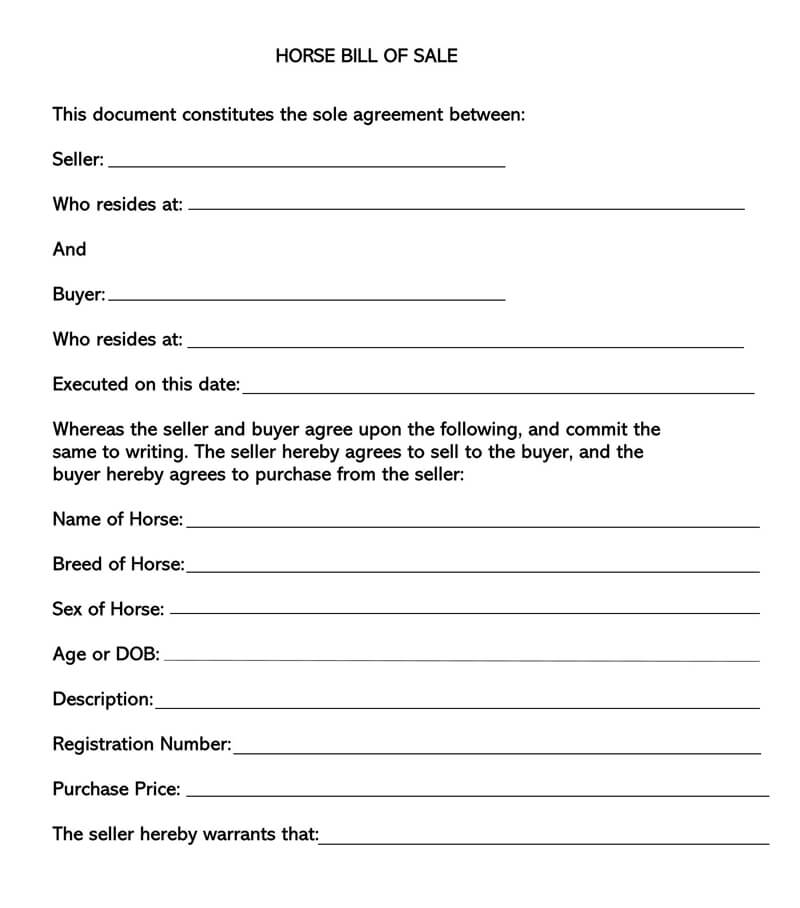 Editable Horse Bill of Sale Form 01 for Word File